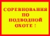 Соревнования по подводной охоте.