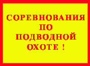 Соревнования по подводной охоте.